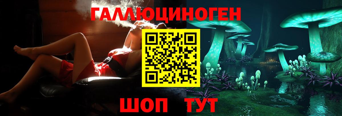 Галлюциногенные грибы Psilocybe  Вход с VPN  Кингисепп 